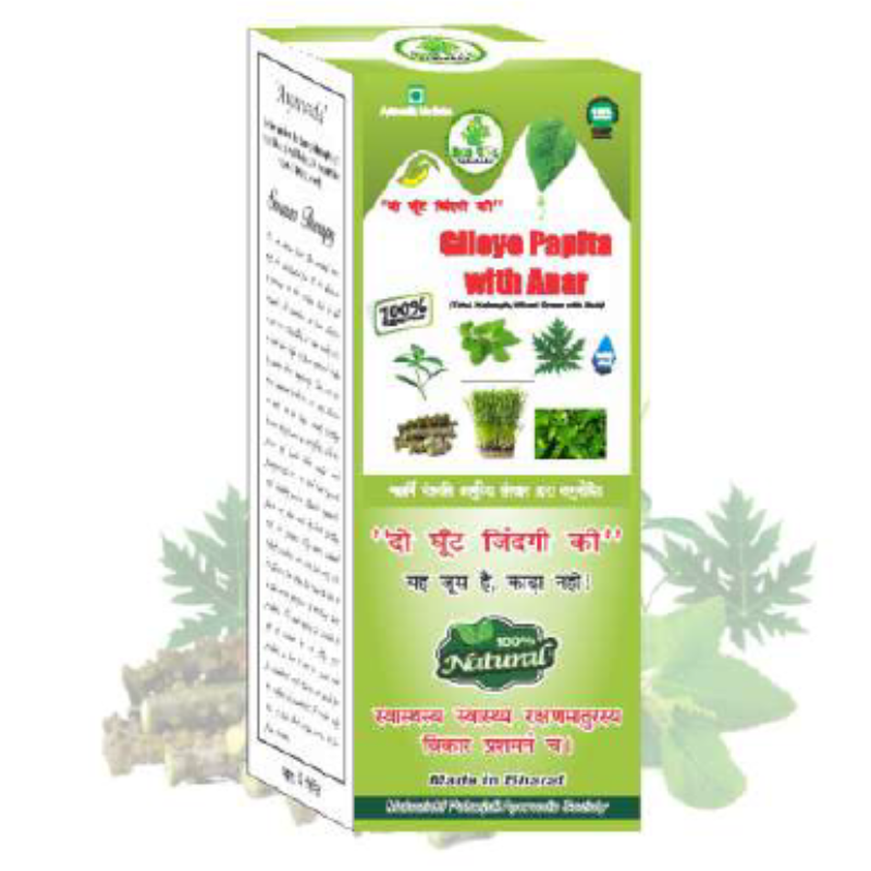Rishi Yog Ayurveda Giloye Papita with Anar Juice, 500ML